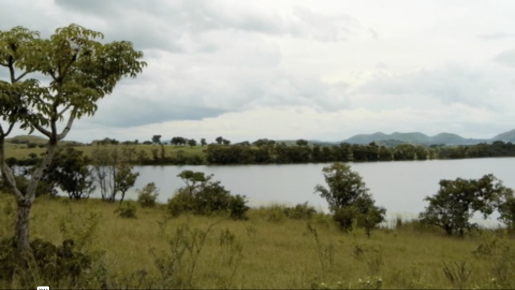 La-strategie-de-developpement-de-la-filiere-cafe-en-Afrique